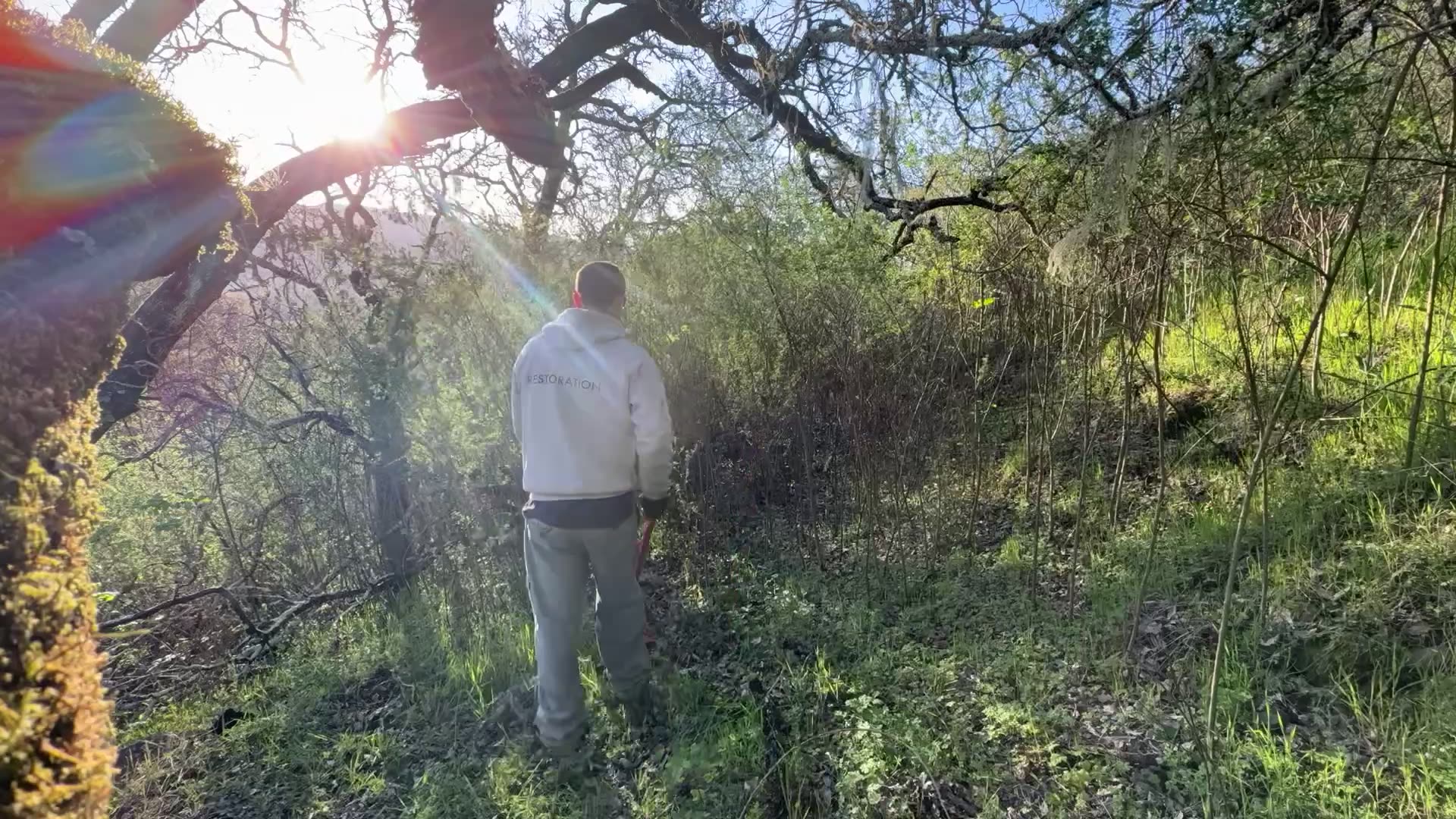Ecotones crew member clearing fuels in oak woodland for defensible space