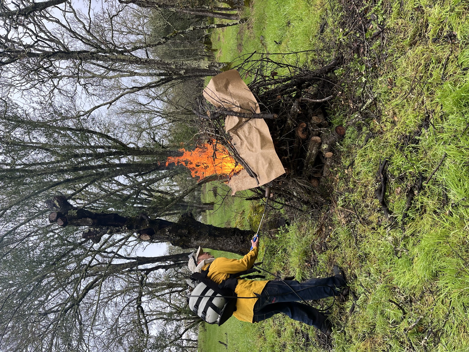Prescribed pile burn for fuels reduction