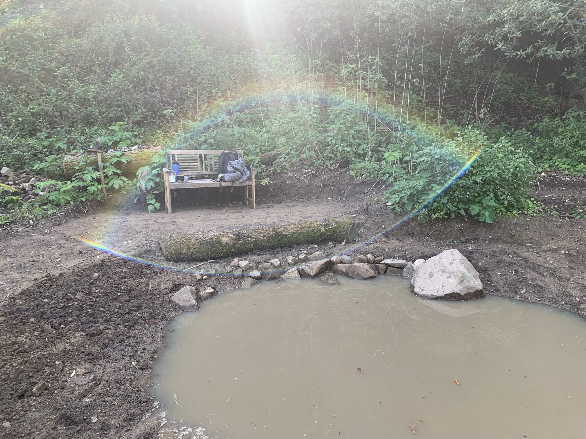 Parkridge Pond habitat overview